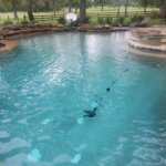 After Pool Cleaning
