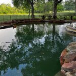 Before Pool Cleaning