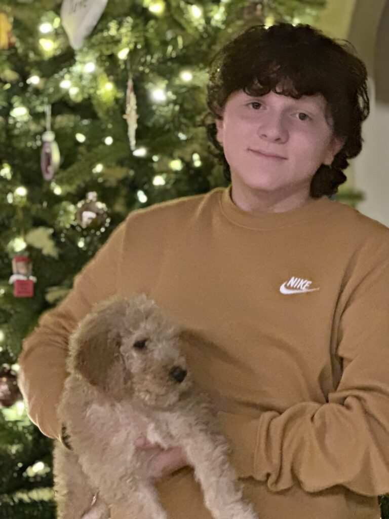 Bradford Golden Doodle Puppy in Texas